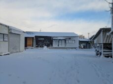 雪がつもりました！