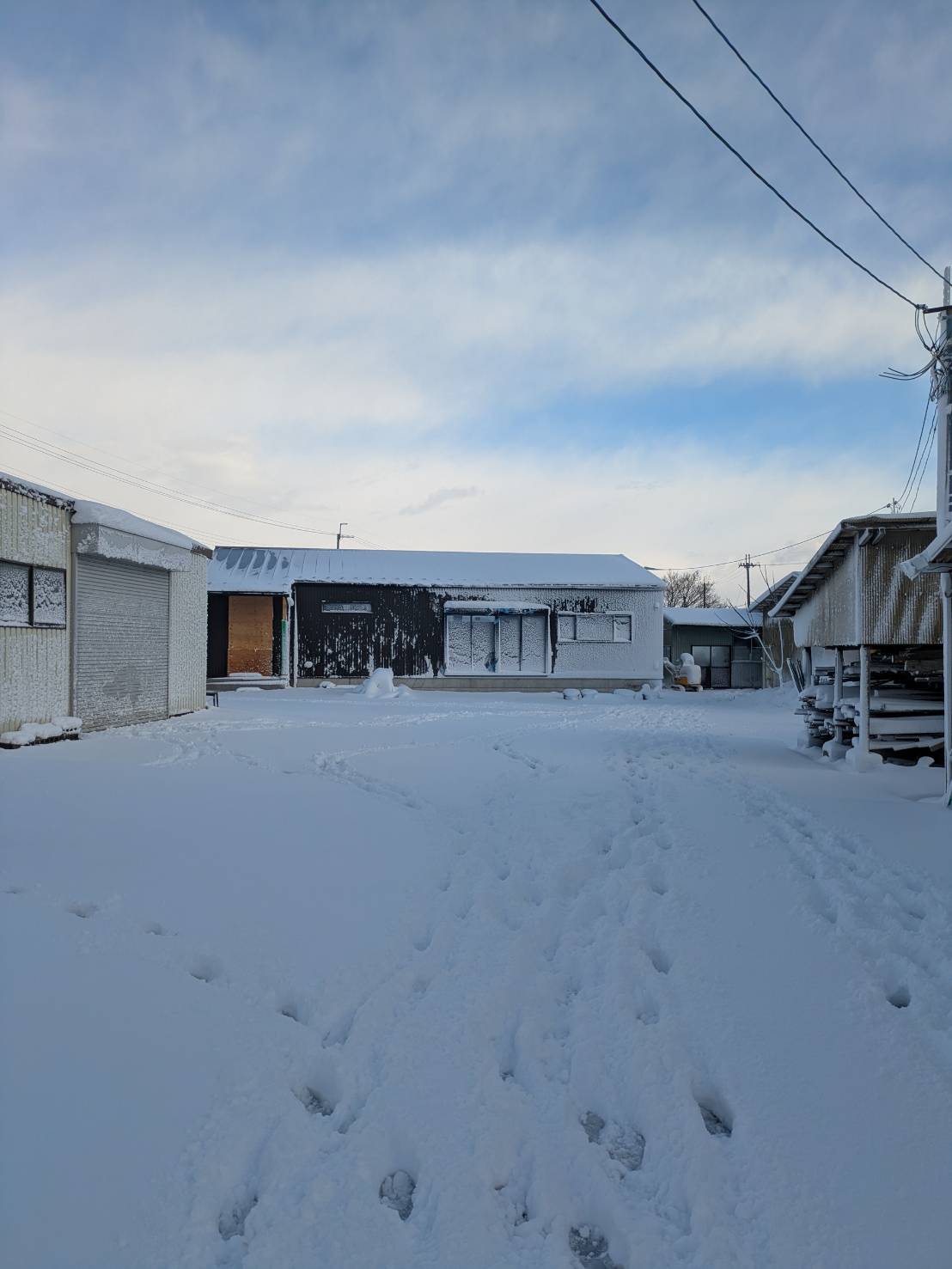 雪がつもりました!