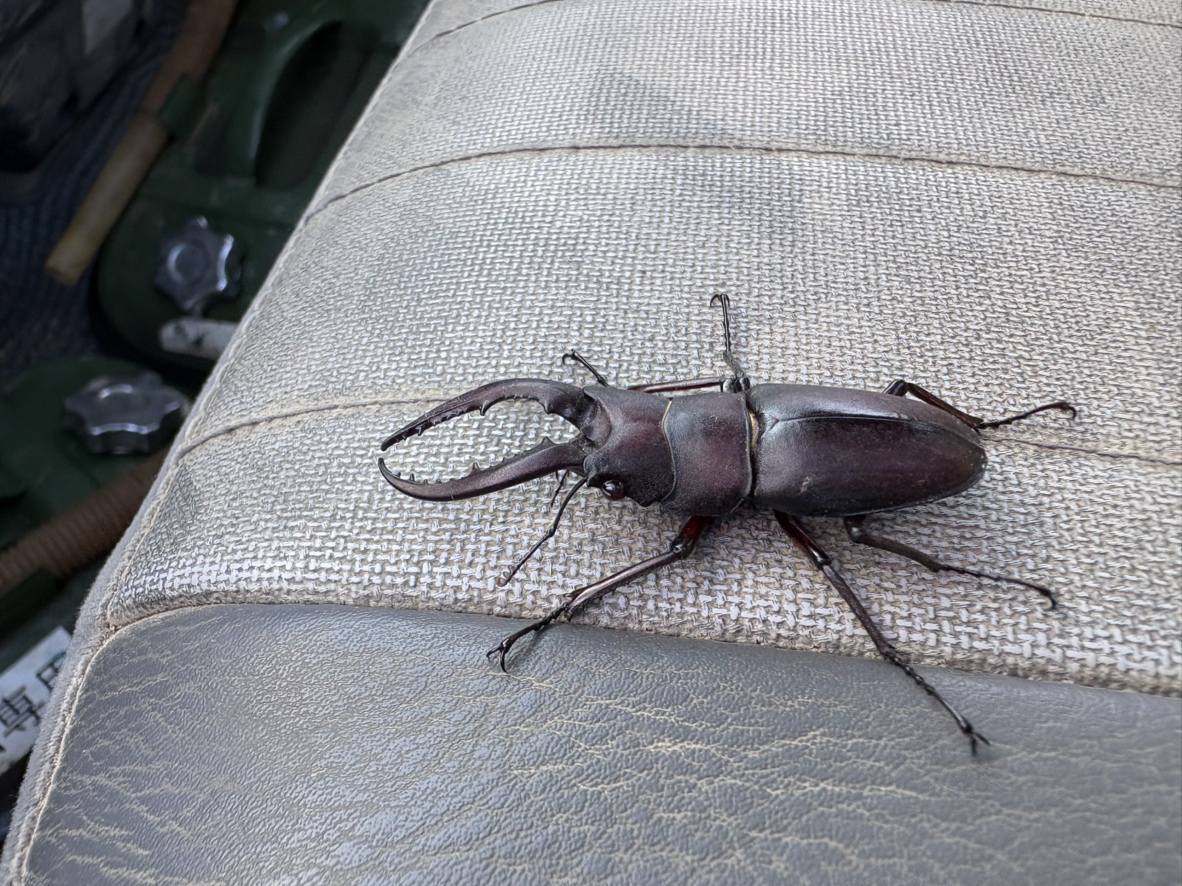 明けましておめでとうございます。